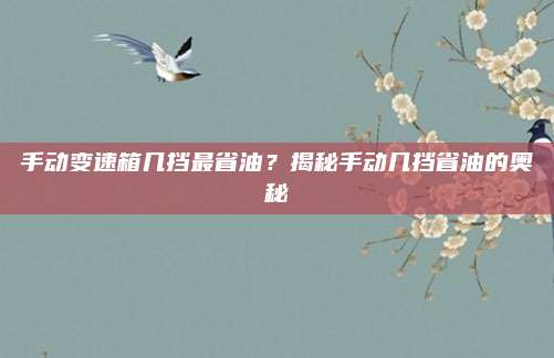 手动变速箱几挡最省油？揭秘手动几挡省油的奥秘