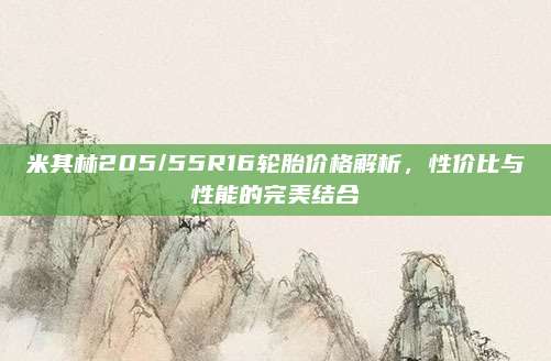 米其林205/55R16轮胎价格解析,性价比与性能的完美结合