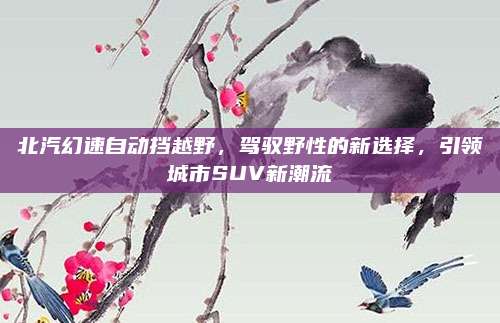 北汽幻速自动挡越野,驾驭野性的新选择,引领城市SUV新潮流