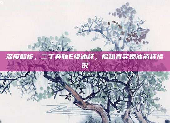 深度解析，二手奔驰E级油耗，揭秘真实燃油消耗情况