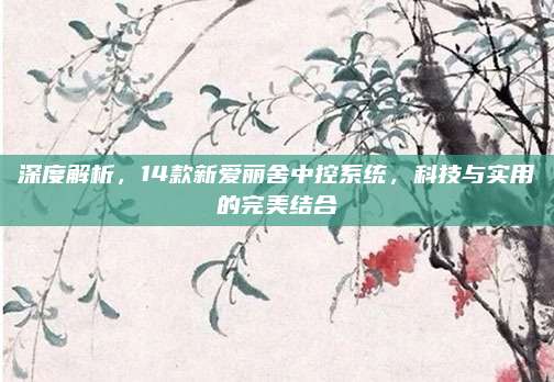 深度解析,14款新爱丽舍中控系统,科技与实用的完美结合
