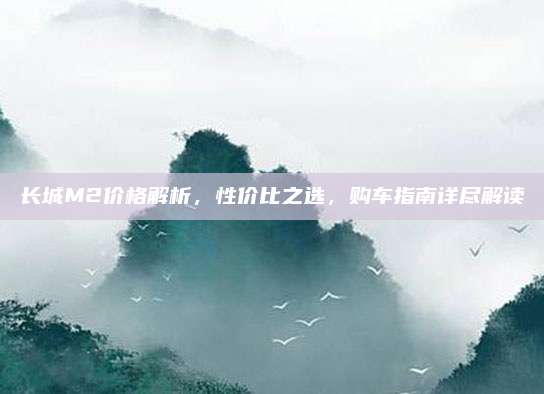 长城M2价格解析，性价比之选，购车指南详尽解读