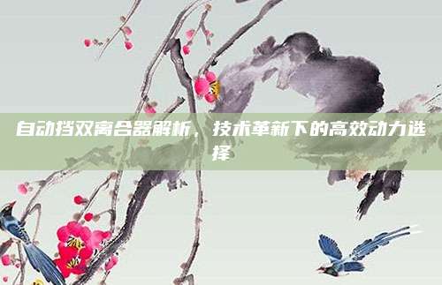自动挡双离合器解析，技术革新下的高效动力选择