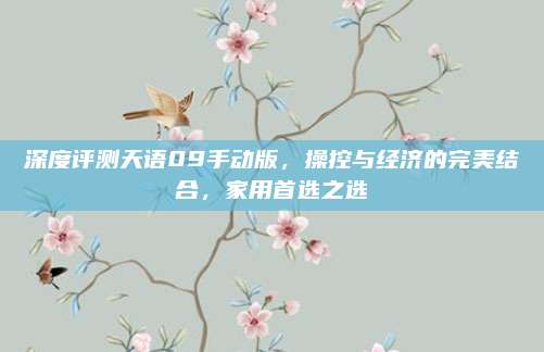 深度评测天语09手动版，操控与经济的完美结合，家用首选之选