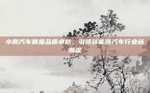 小鹏汽车质量品质卓越，引领新能源汽车行业新潮流