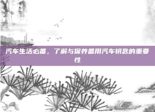 汽车生活必备,了解与保养备用汽车钥匙的重要性