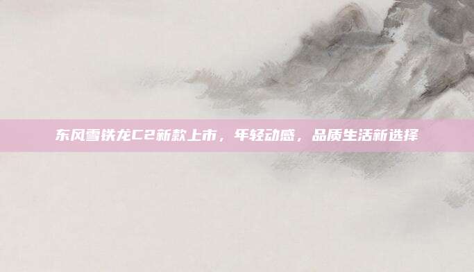 东风雪铁龙C2新款上市，年轻动感，品质生活新选择