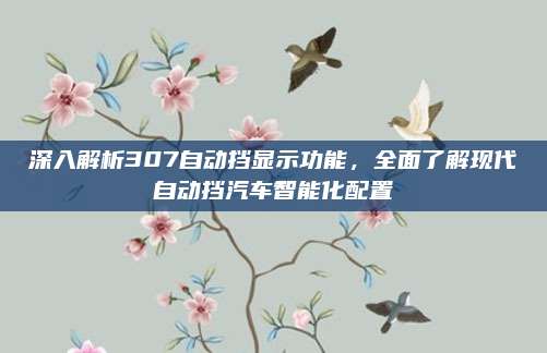 深入解析307自动挡显示功能,全面了解现代自动挡汽车智能化配置