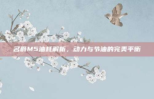 名爵M5油耗解析，动力与节油的完美平衡