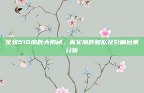 宝骏510油耗大揭秘，真实油耗数据及影响因素分析