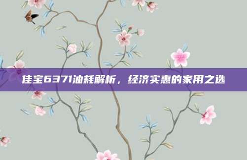 佳宝6371油耗解析,经济实惠的家用之选