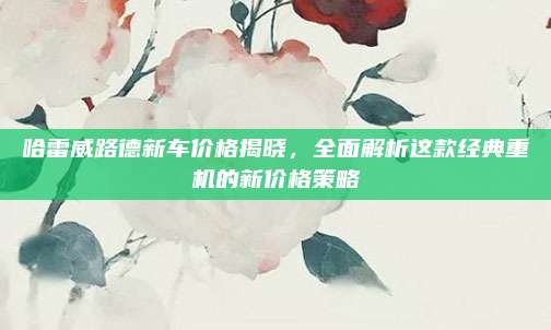 哈雷威路德新车价格揭晓，全面解析这款经典重机的新价格策略
