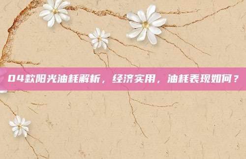 04款阳光油耗解析,经济实用,油耗表现如何?