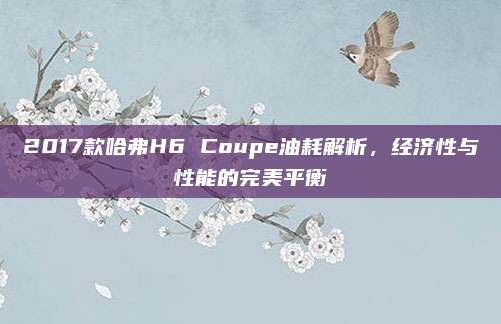 2017款哈弗H6 Coupe油耗解析，经济性与性能的完美平衡
