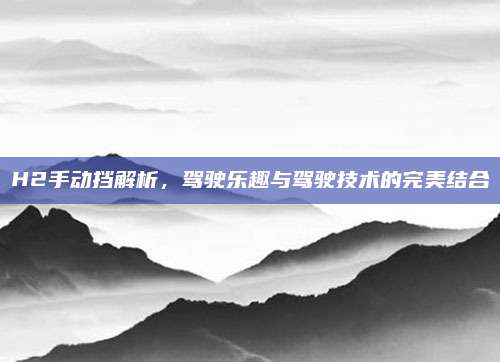 H2手动挡解析，驾驶乐趣与驾驶技术的完美结合