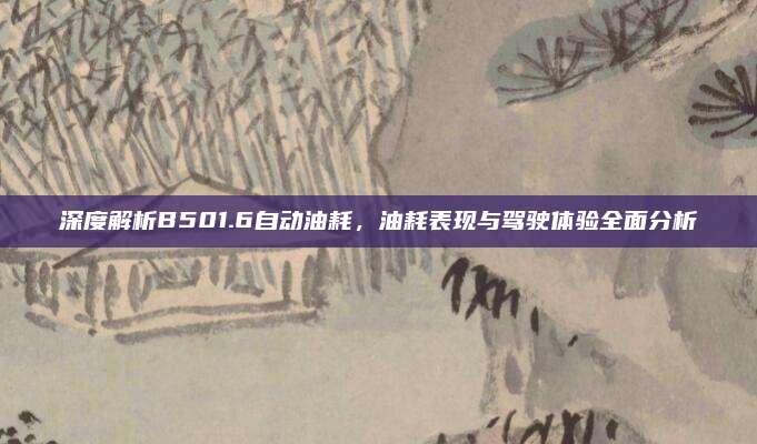 深度解析B501.6自动油耗，油耗表现与驾驶体验全面分析