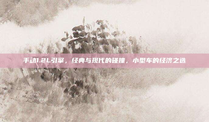 手动1.2L引擎,经典与现代的碰撞,小型车的经济之选