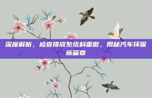 深度解析，检查排放系统科雷傲，揭秘汽车环保新篇章