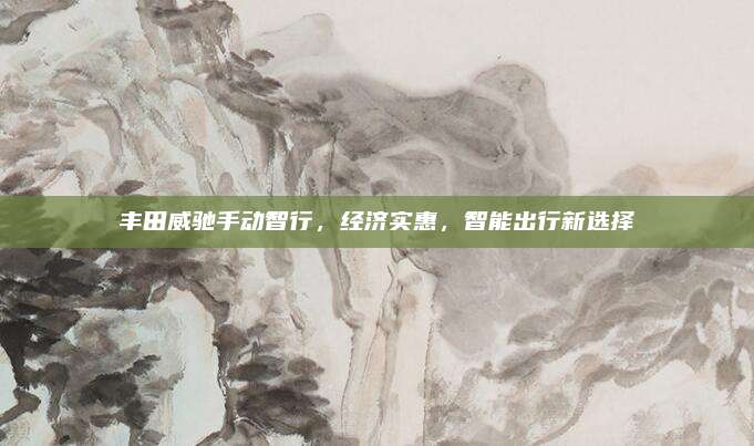 丰田威驰手动智行,经济实惠,智能出行新选择
