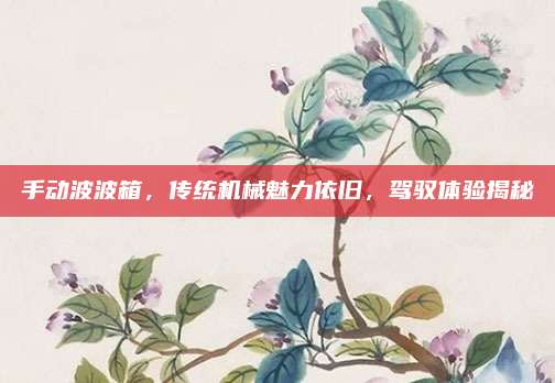 手动波波箱,传统机械魅力依旧,驾驭体验揭秘