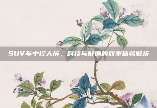 SUV车中控大屏，科技与舒适的双重体验解析