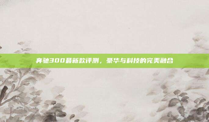 奔驰300最新款评测，豪华与科技的完美融合