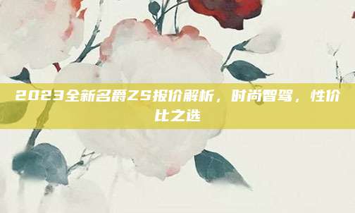 2023全新名爵ZS报价解析,时尚智驾,性价比之选