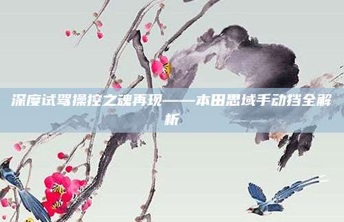 深度试驾操控之魂再现——本田思域手动挡全解析