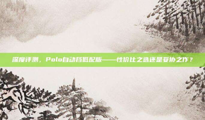 深度评测,Polo自动挡低配版——性价比之选还是妥协之作?