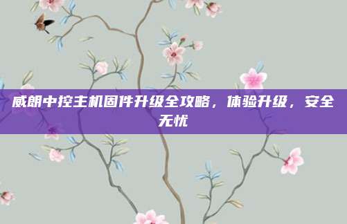 威朗中控主机固件升级全攻略,体验升级,安全无忧