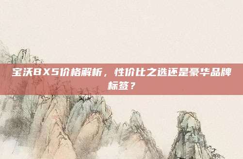 宝沃BX5价格解析，性价比之选还是豪华品牌标签？