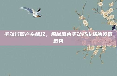 手动挡国产车崛起,揭秘国内手动挡市场的发展趋势