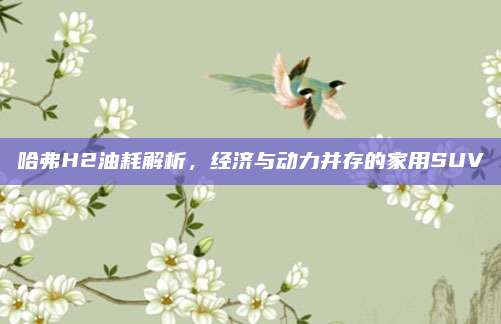 哈弗H2油耗解析,经济与动力并存的家用SUV