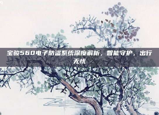 宝骏560电子防盗系统深度解析，智能守护，出行无忧