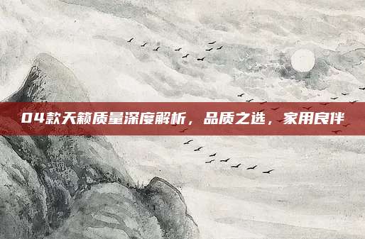 04款天籁质量深度解析,品质之选,家用良伴