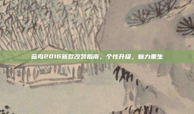 蓝鸟2016新款改装指南,个性升级,魅力重生
