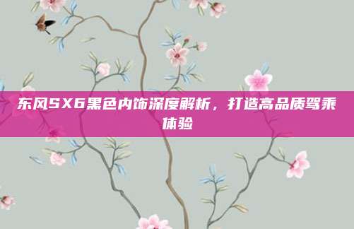 东风SX6黑色内饰深度解析,打造高品质驾乘体验