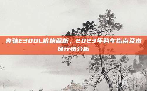 奔驰E300L价格解析,2023年购车指南及市场行情分析