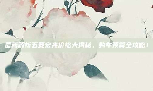 最新解析五菱宏光价格大揭秘，购车预算全攻略！