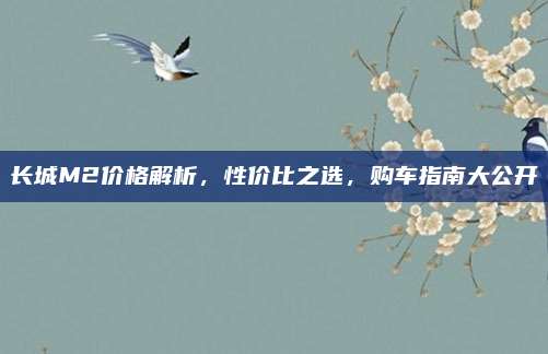 长城M2价格解析，性价比之选，购车指南大公开
