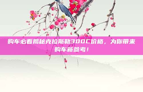 购车必看揭秘克拉斯勒300C价格,为你带来购车新参考!