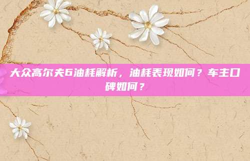大众高尔夫6油耗解析,油耗表现如何?车主口碑如何?
