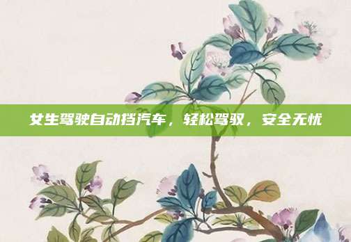 女生驾驶自动挡汽车,轻松驾驭,安全无忧