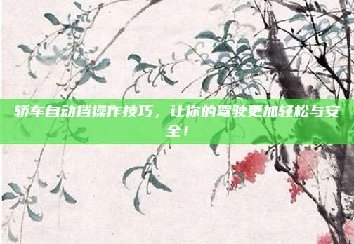 轿车自动挡操作技巧,让你的驾驶更加轻松与安全!