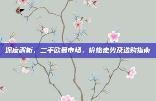 深度解析,二手欧曼市场,价格走势及选购指南