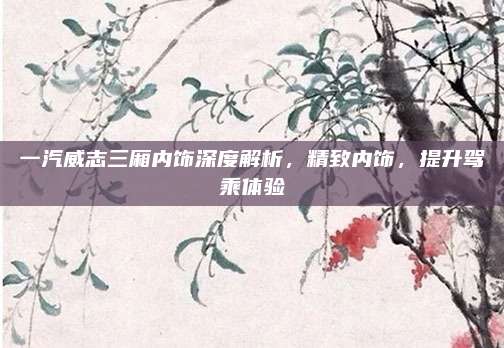 一汽威志三厢内饰深度解析,精致内饰,提升驾乘体验