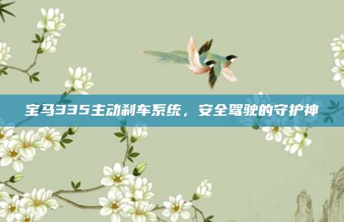 宝马335主动刹车系统,安全驾驶的守护神