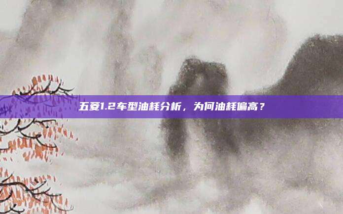 五菱1.2车型油耗分析,为何油耗偏高?