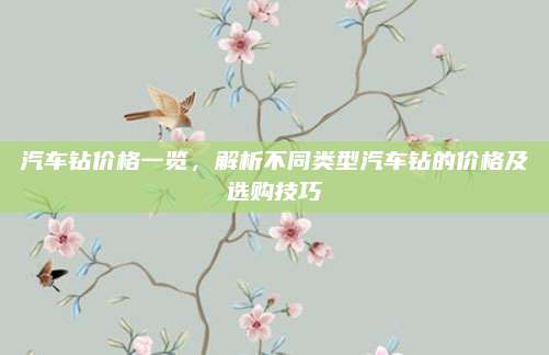 汽车钻价格一览,解析不同类型汽车钻的价格及选购技巧