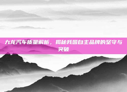 九龙汽车质量解析,揭秘我国自主品牌的坚守与突破